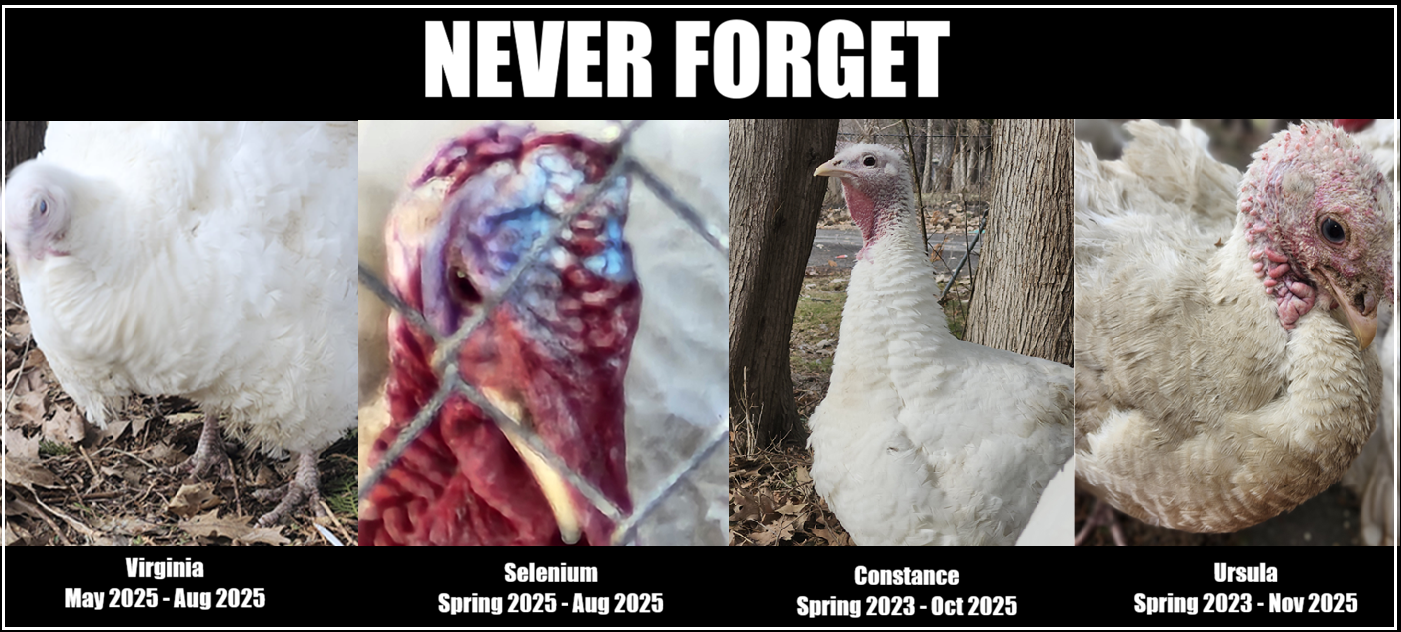 MURDER VICTIMS